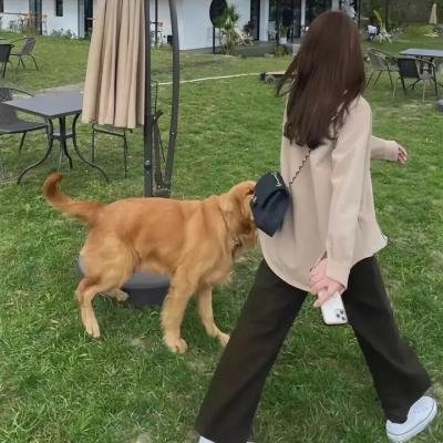 下辈子做你的女人